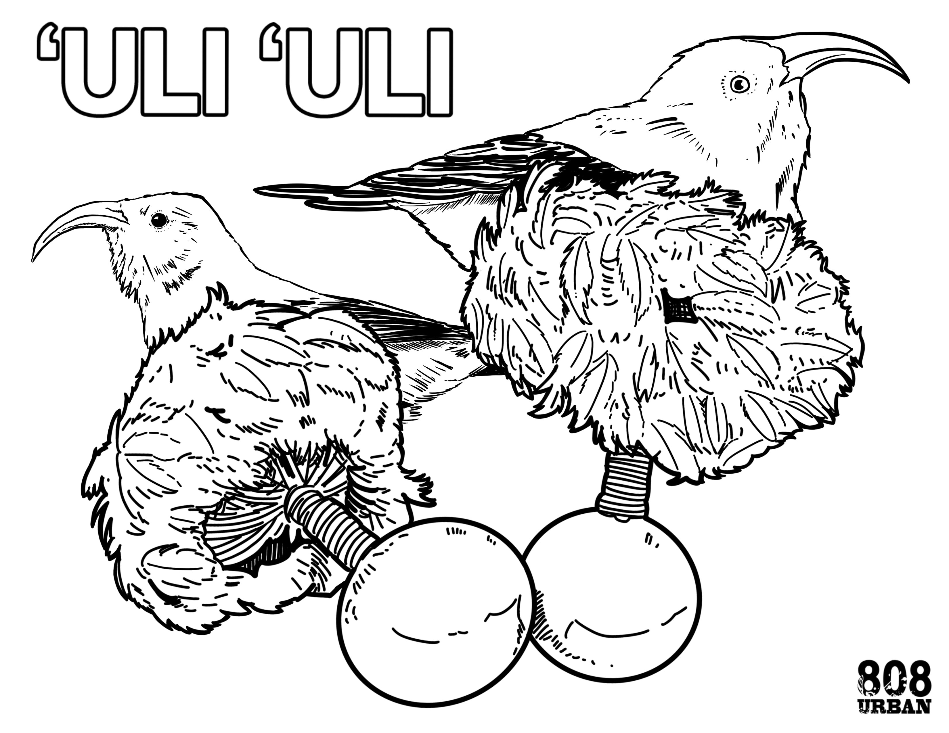 'Uli'uli 808 Urban