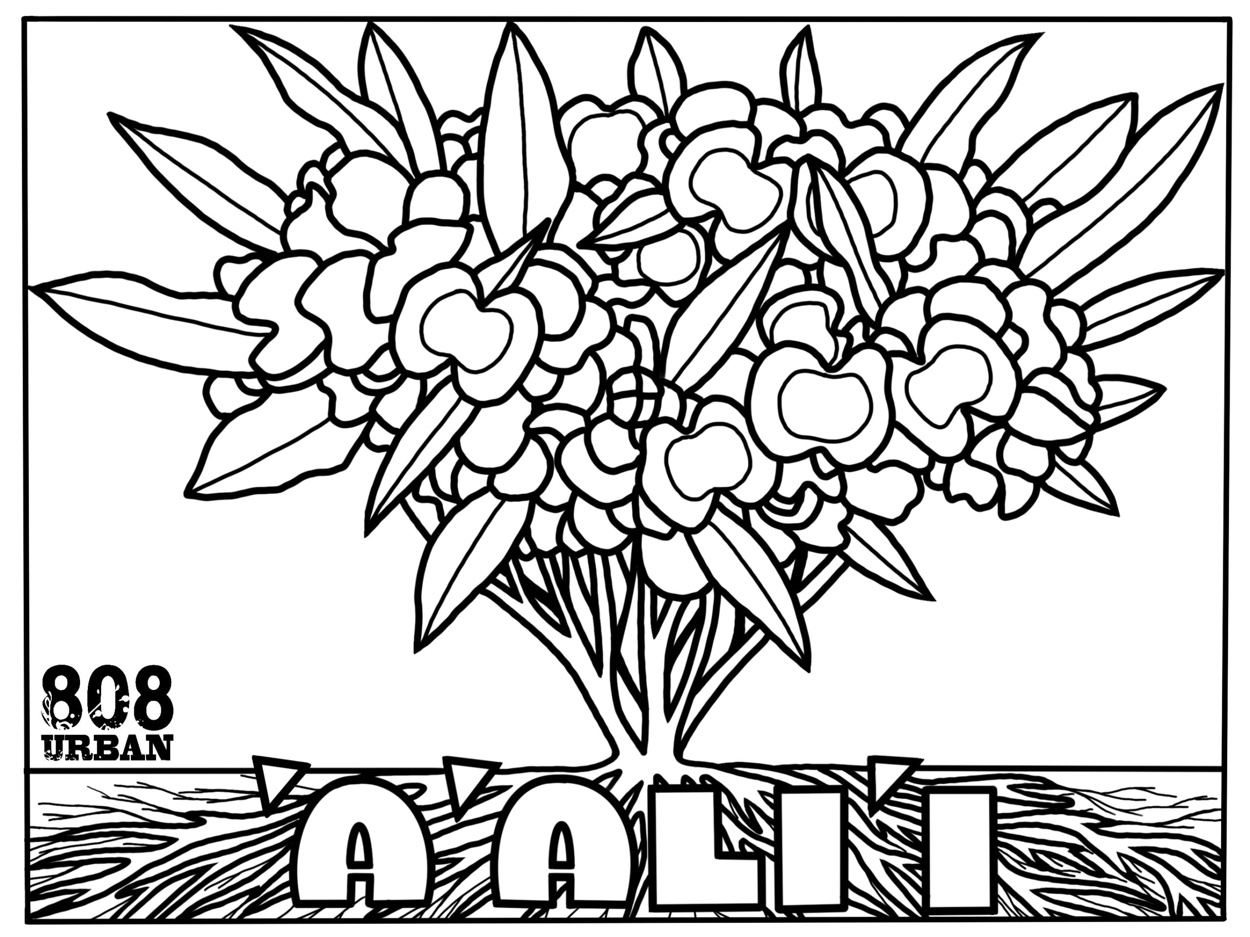 A ali i 808 Urban a-ali-i-808-urban