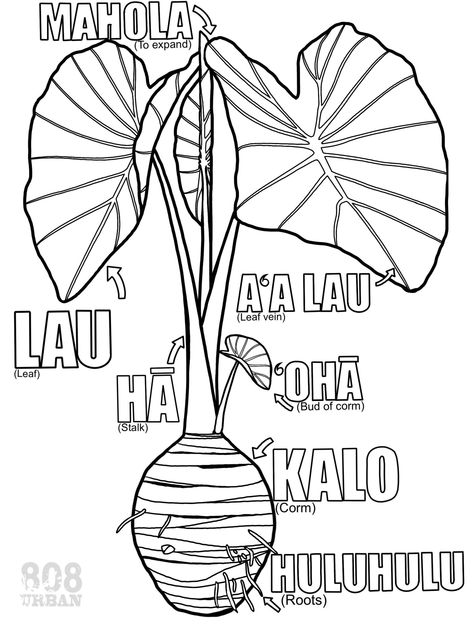 Kalo Diagram
