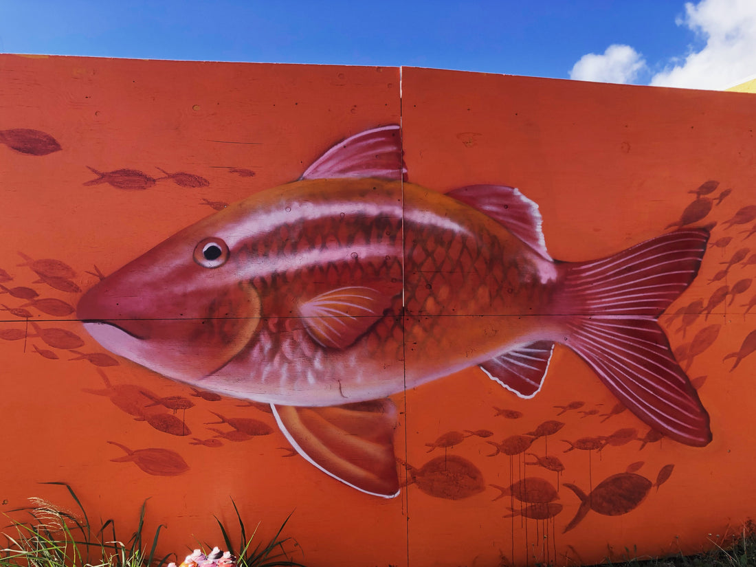 Kumu